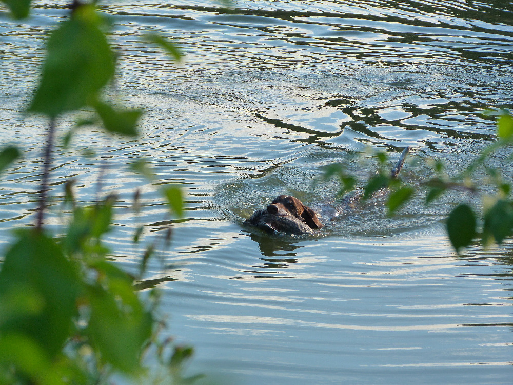 P1320148