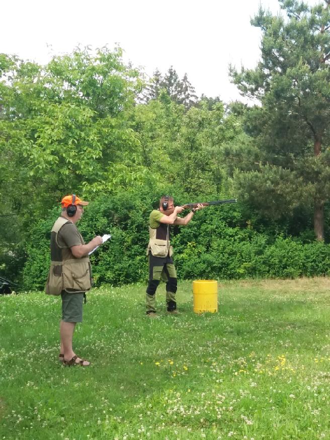 stahování (4)